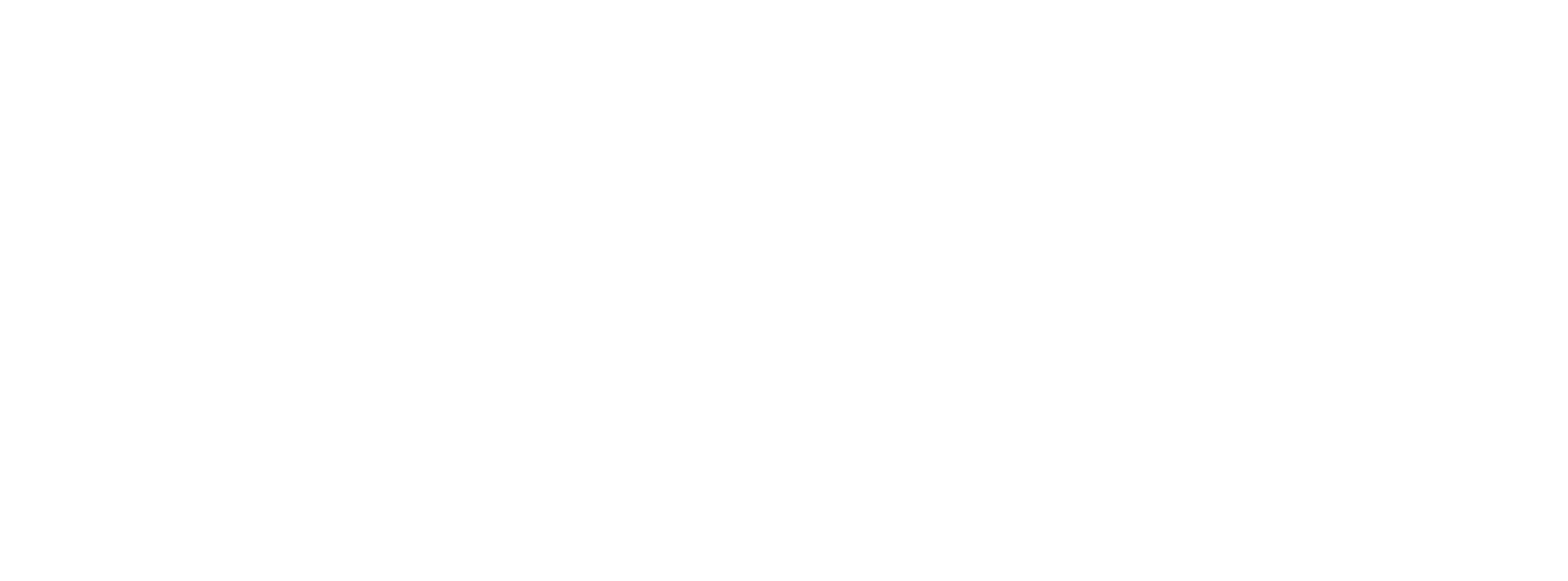 falocon — unique IT solutions
